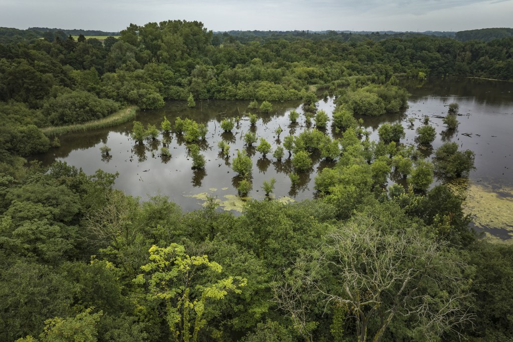 Dillington Hall Estate, at the heart of the Wendling Beck Nature Recovery project - 140 acres of former irrigation reservoirs. Credit: Emli Bendixen