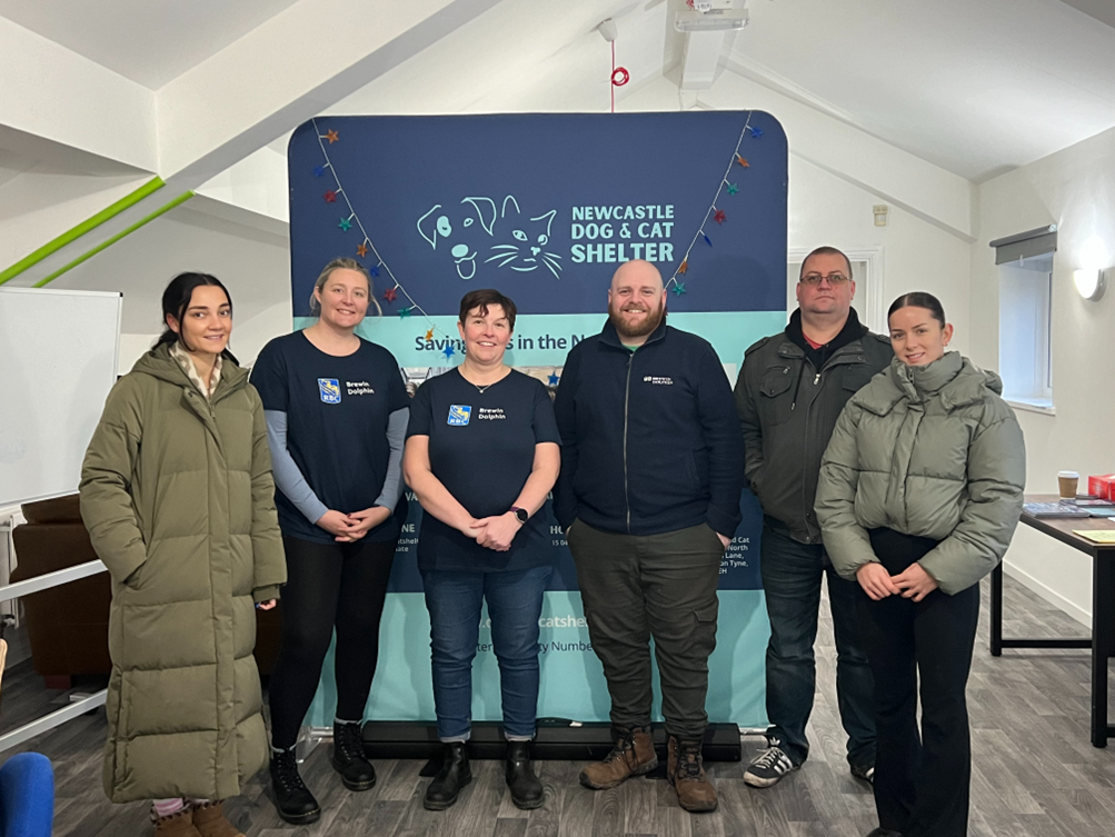 Newcastle Dog and cat Shelter